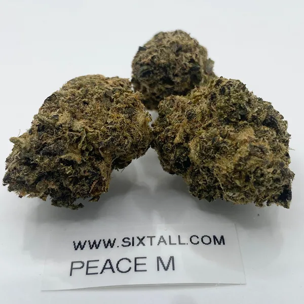 Peacemaker