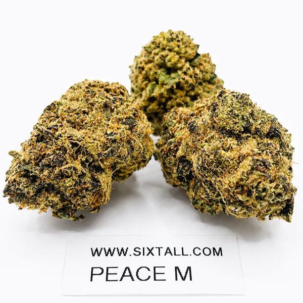 Peacemaker