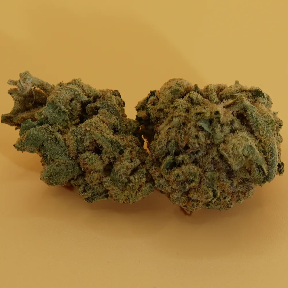 Apple Fritter