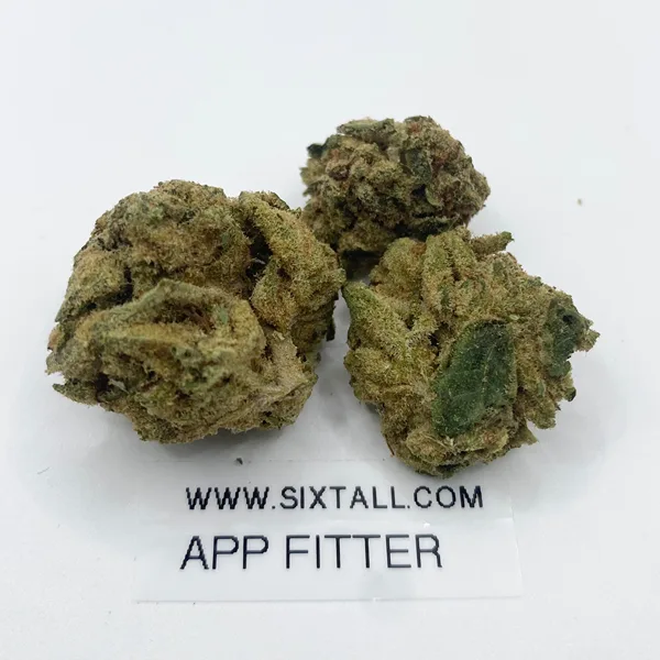Apple Fritter