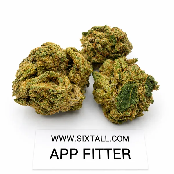 Apple Fritter