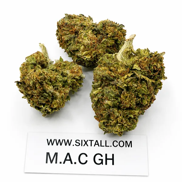 Miracle Alien Cookies (Greenhouse)