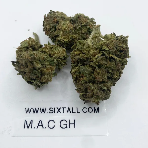 Miracle Alien Cookies (Greenhouse)
