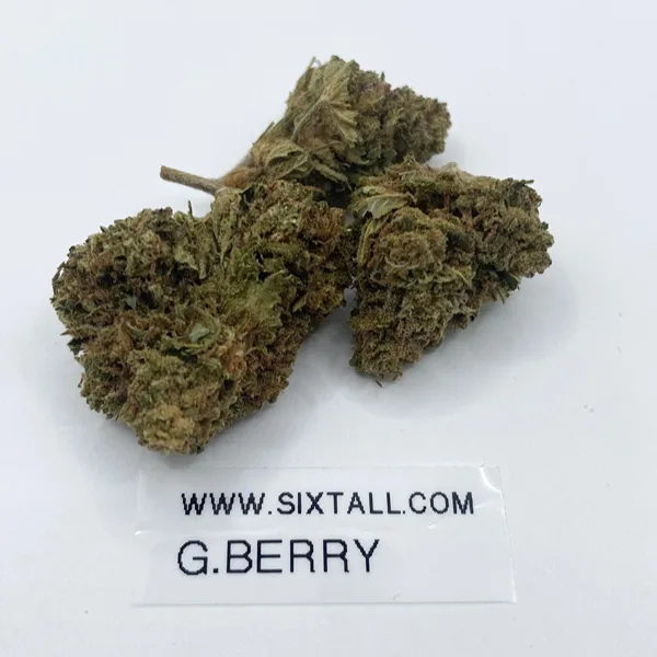 Large, dense Godberry cannabis buds showing rich green colouring with blue hues.