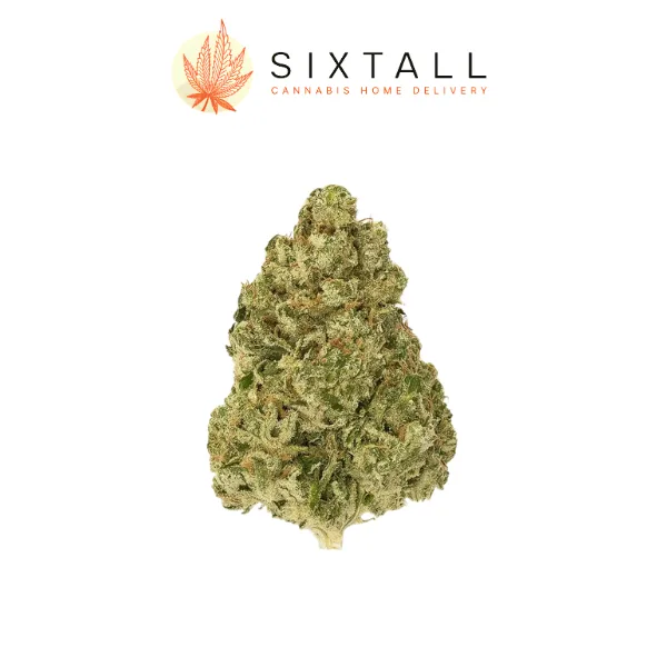 Passion Orange Guava