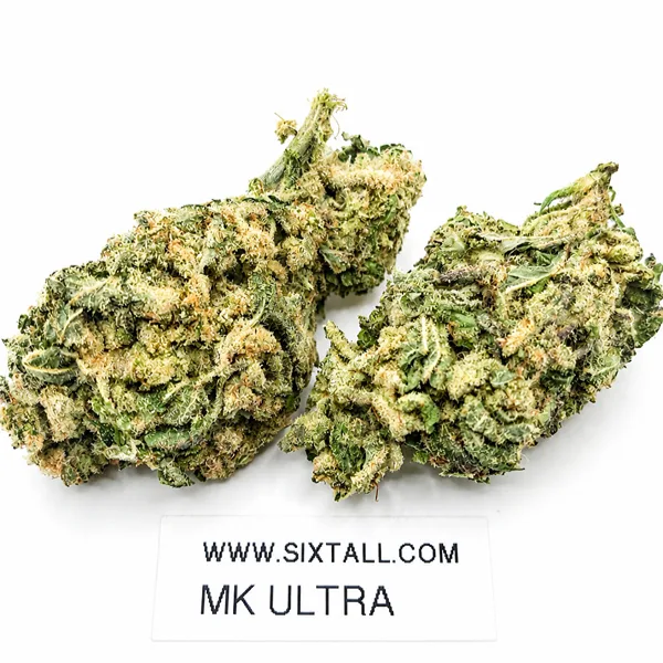 MK Ultra