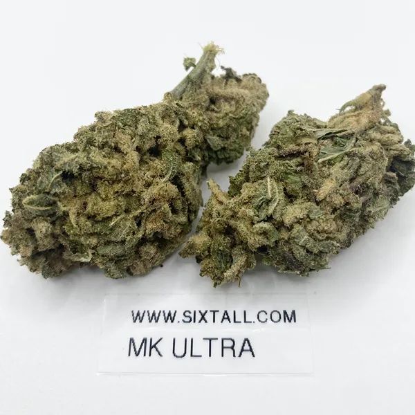 MK Ultra