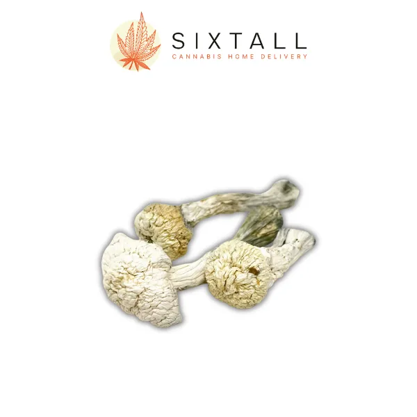 Avery Albino Dried Mushrooms