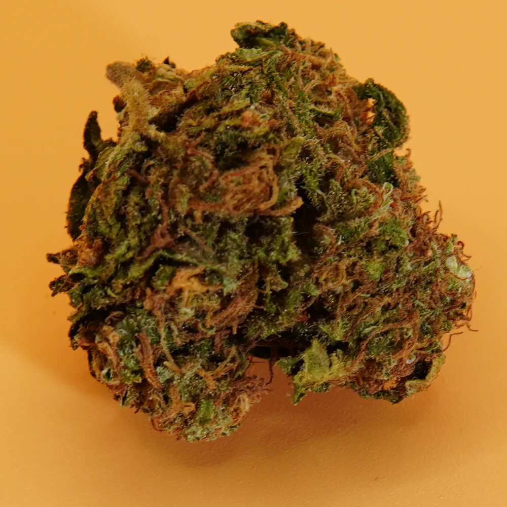 Bruce Banner