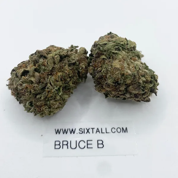 Bruce Banner