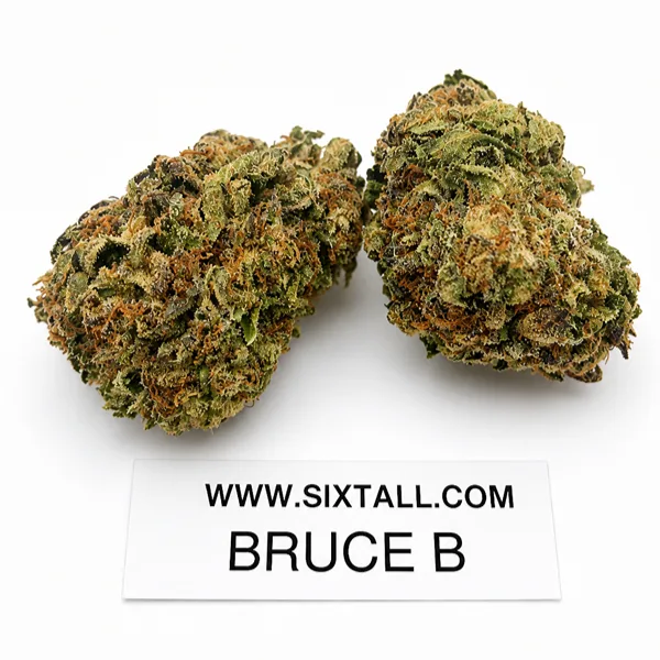 Bruce Banner