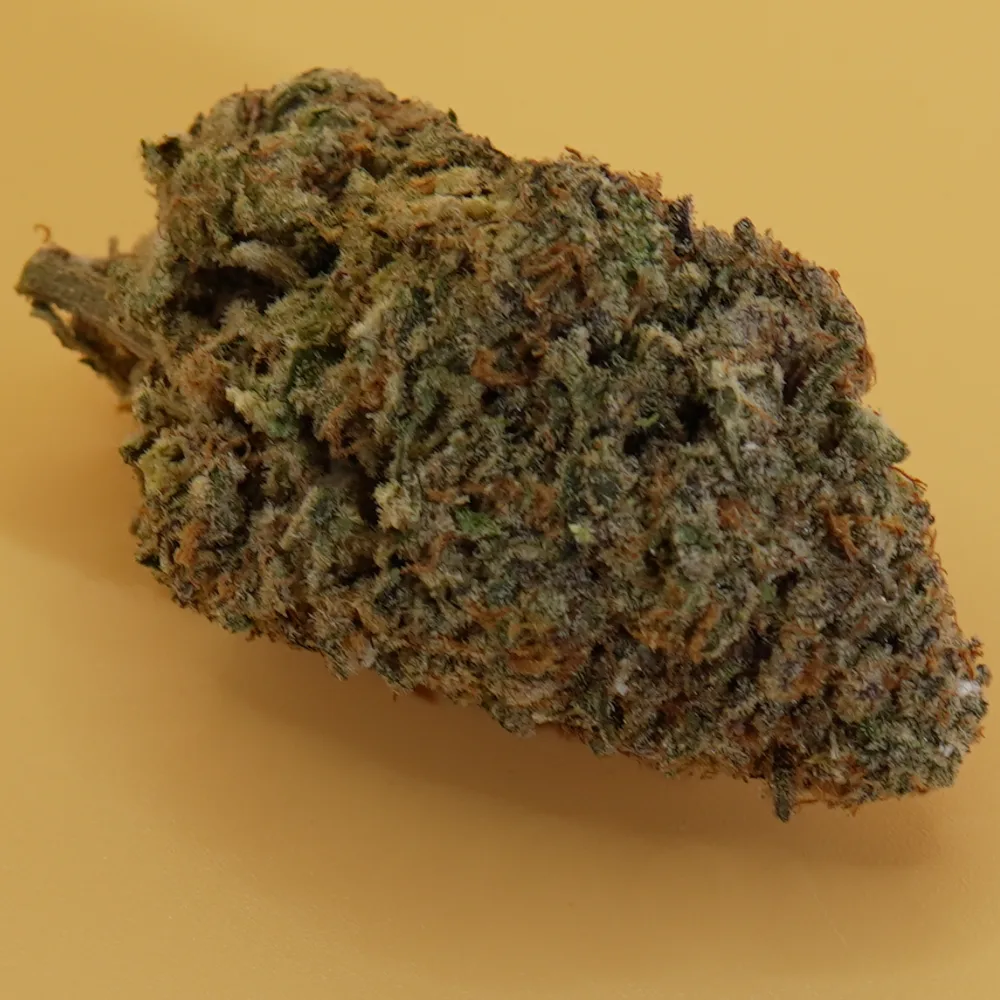 Slurricane