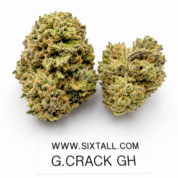 Green Crack (Greenhouse)