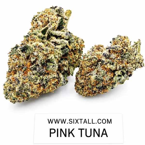 Pink Tuna