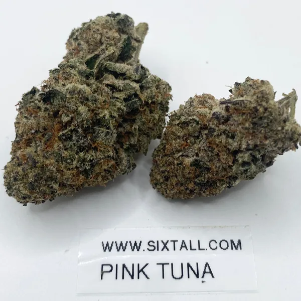Pink Tuna