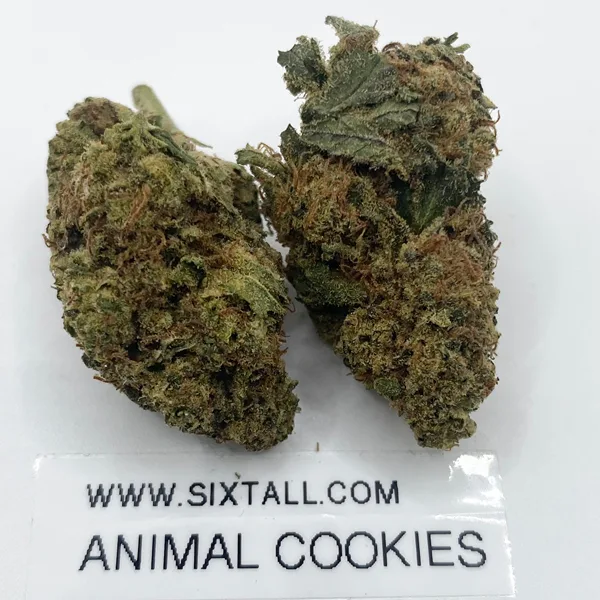 Animal Cookies