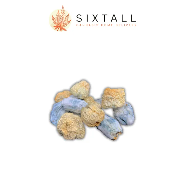 Albino Chodewave Dried Mushrooms