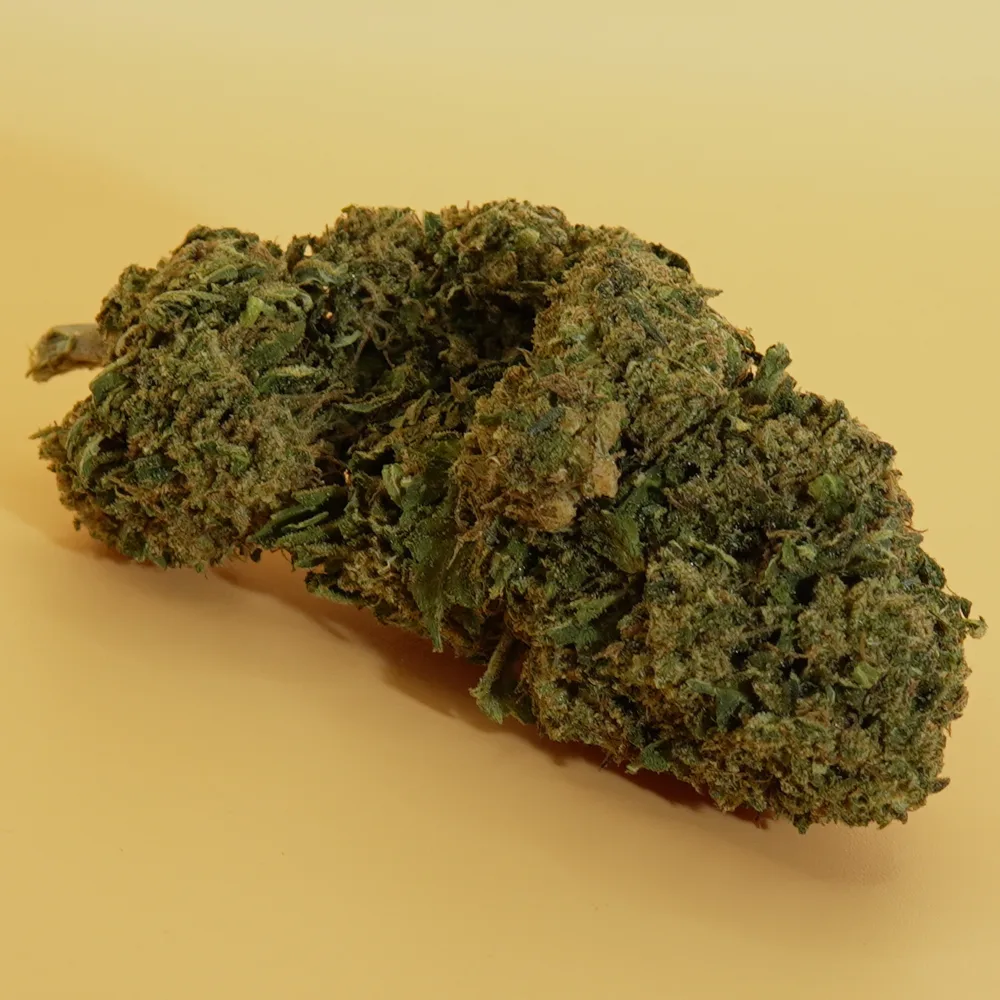 Dynastic OG