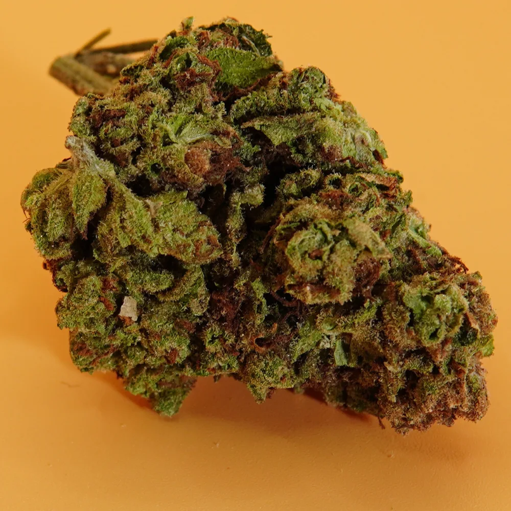 Gelato