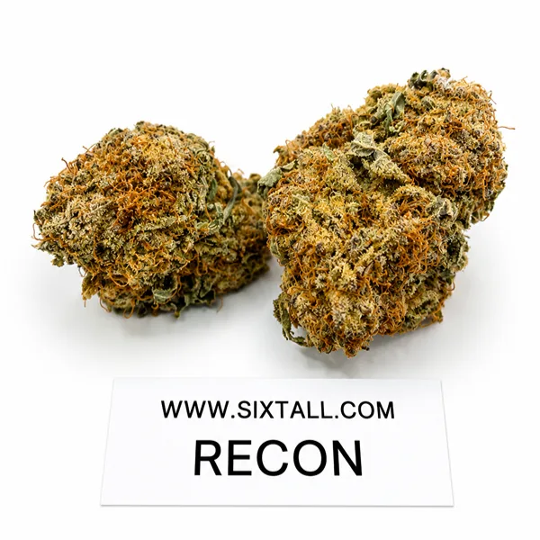 Recon OG