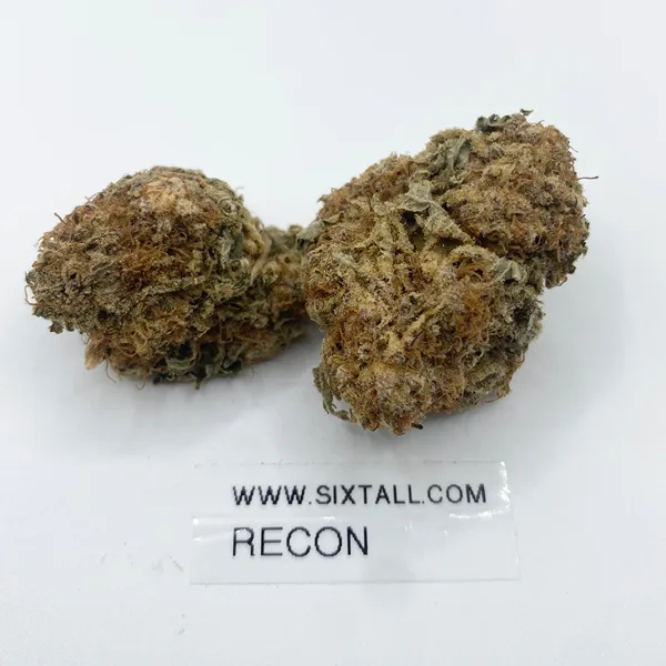 Recon OG