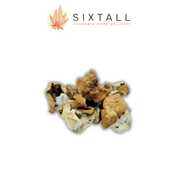 King Kong Dried Mushrooms