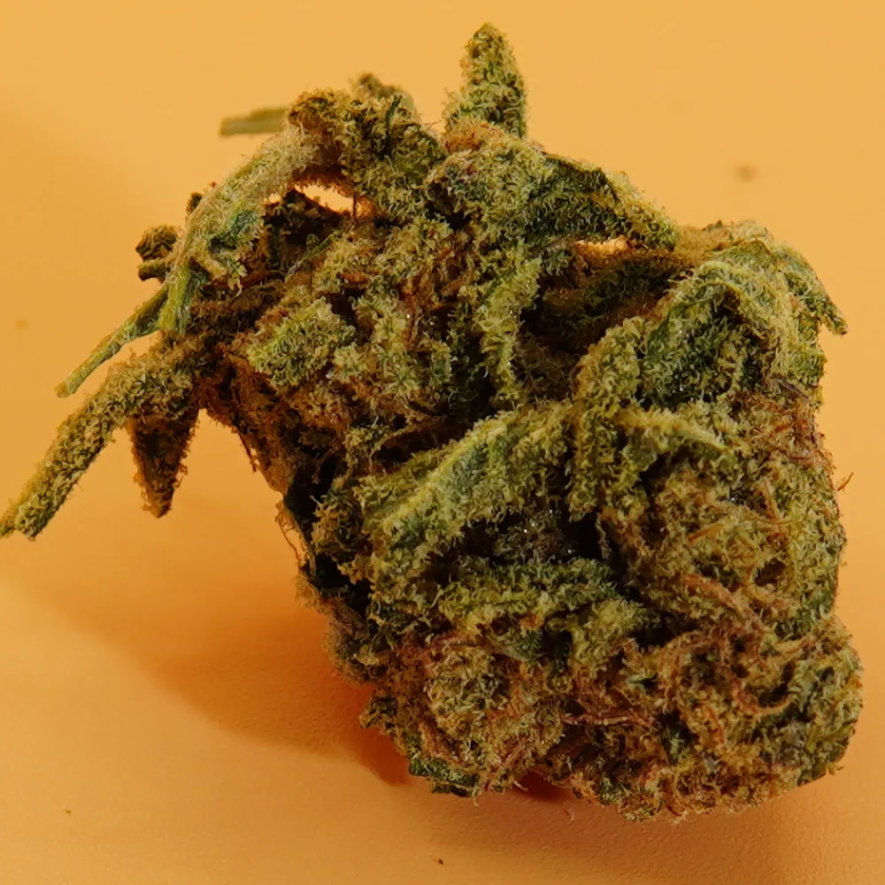 Miracle Alien Cookies