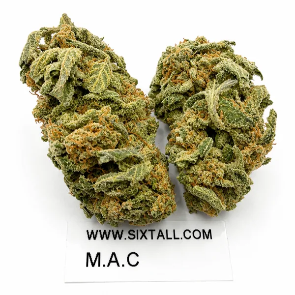 Miracle Alien Cookies
