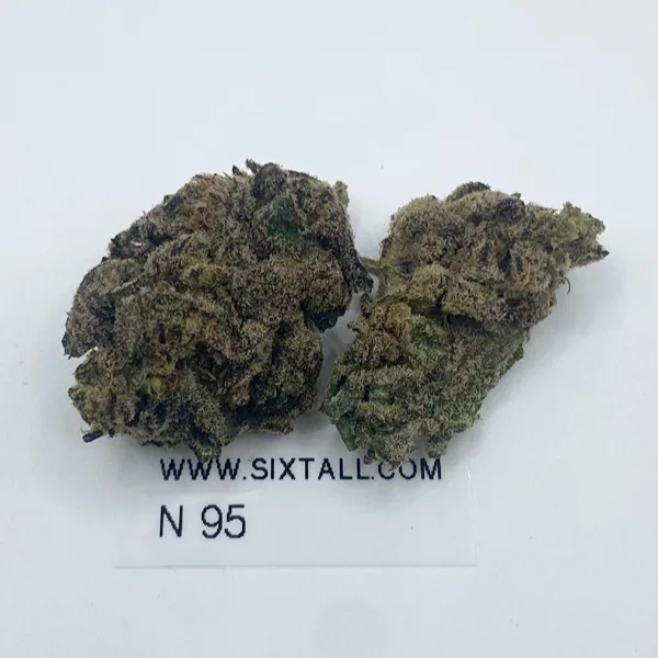 N95