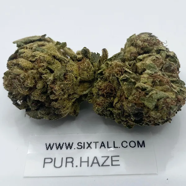 Purple Haze