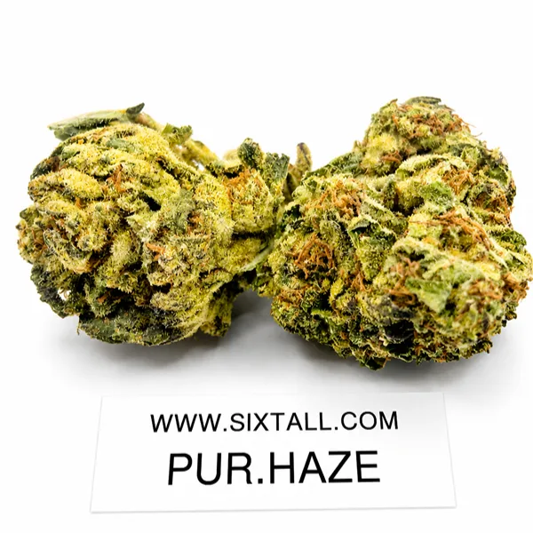 Purple Haze