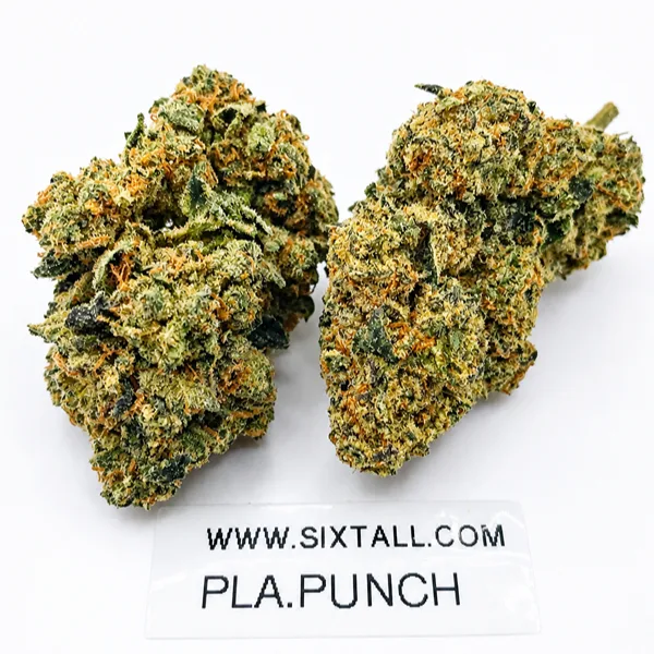Platinum punch