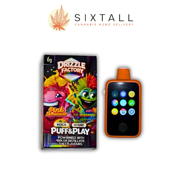 Drizzle Factory 6G Puff & Play Vapes