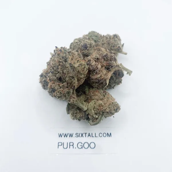 Purple Goo