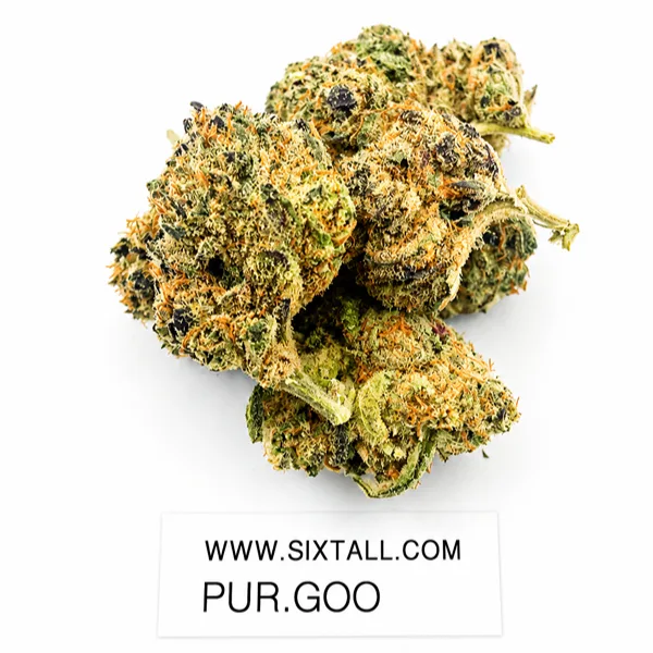 Purple Goo