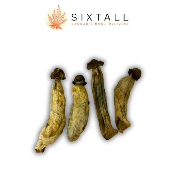 Maki Dried Mushroom