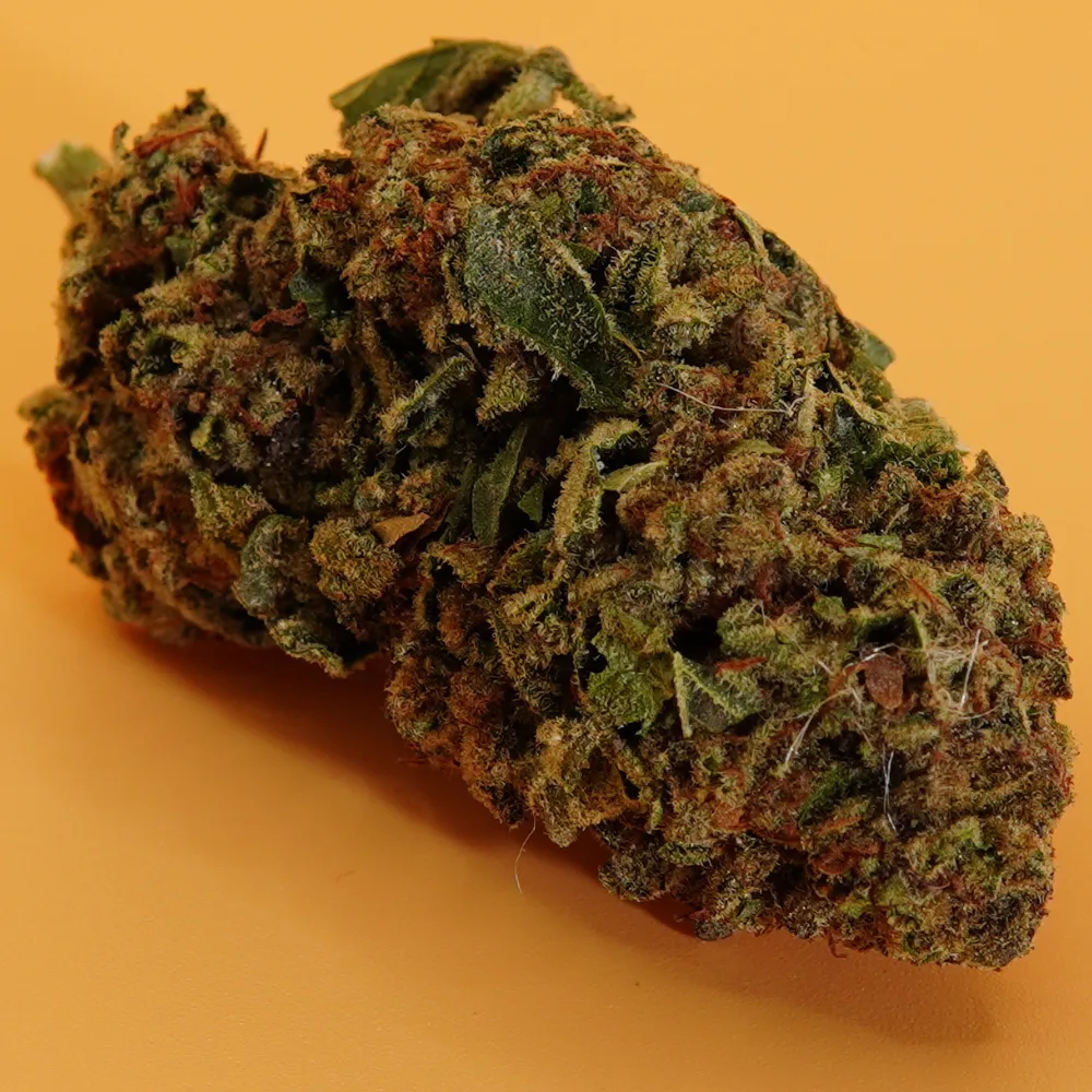 Granddaddy Purple