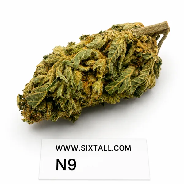 N9