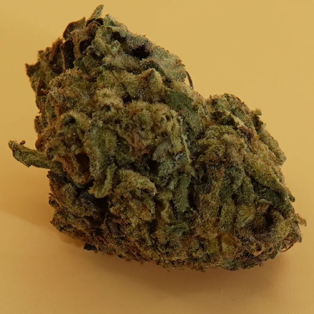 Evergreen Mints