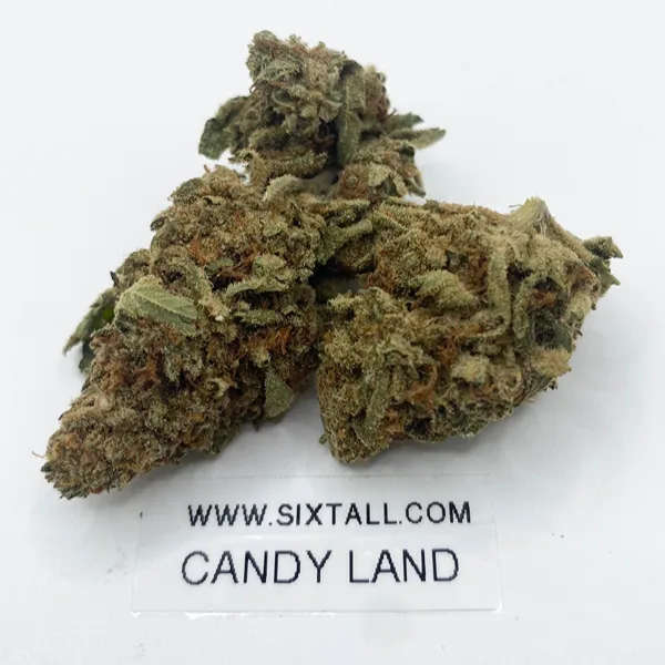 Candyland