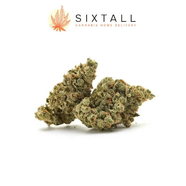 Gorilla Breath